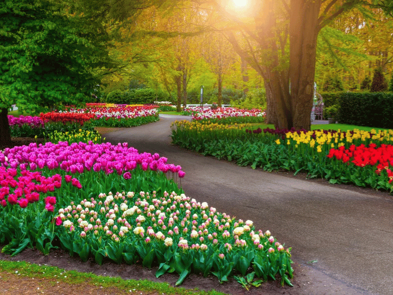 chuan-bi-gi-khi-di-du-xuan-dai-ngay-4