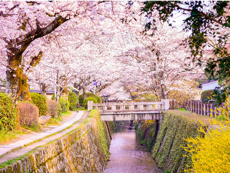 con-duong-triet-gia-Tetsugaku-no-michi