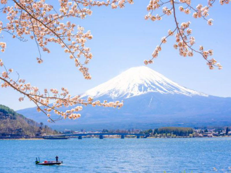 ho-hồ-Kawaguchiko-ngam-nui-phu-si