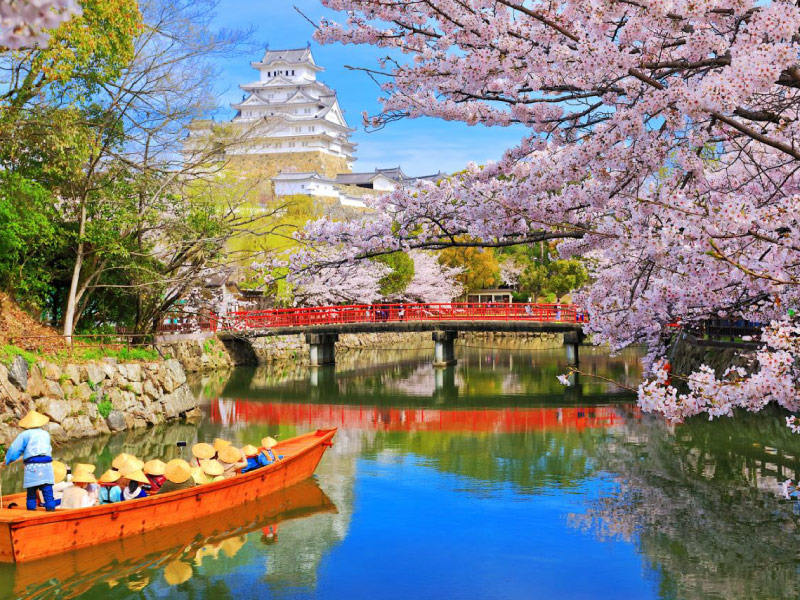 lau-dai-Himeji-mua-hoa-anh-dao-nhat-ban