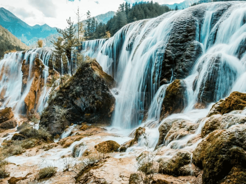 mua-xuan-cuu-trai-cau-2