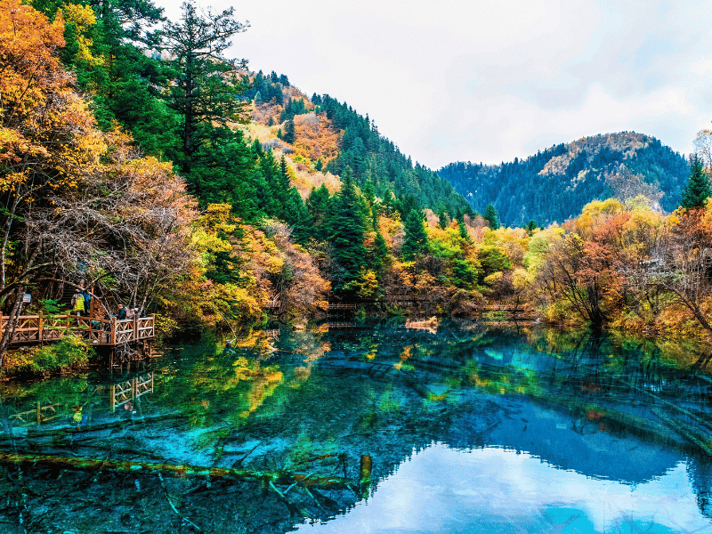 mua-xuan-cuu-trai-cau-3