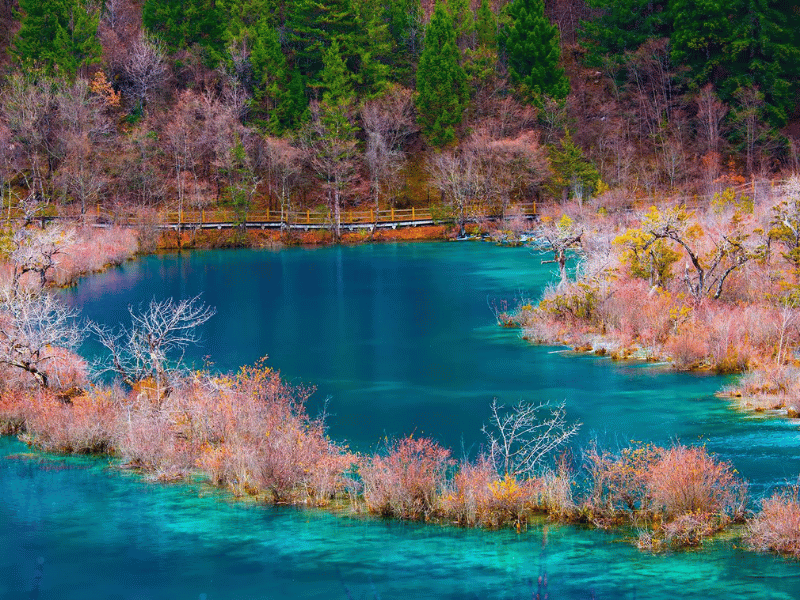 mua-xuan-cuu-trai-cau-5-1