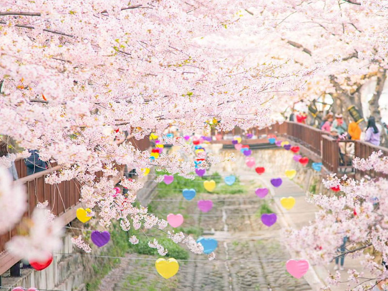 suoi-Yeojwa-diem-ngam-hoa-anh-dep-nhat-han-quoc