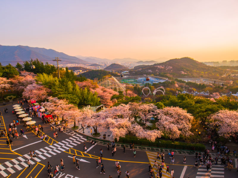 Daegu-thanh-pho-han-quoc-thoi-trang-va-le-hoi