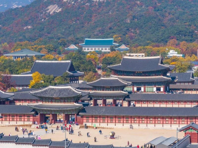 canh-phuc-cung-ngoi-nha-hanh-phuc