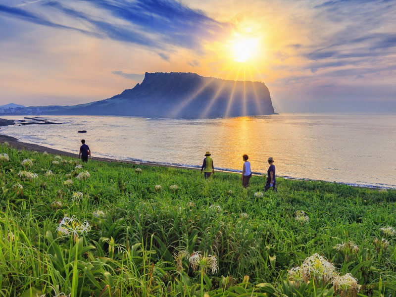 dao-jeju-thanh-pho-han-quoc-nghi-duong