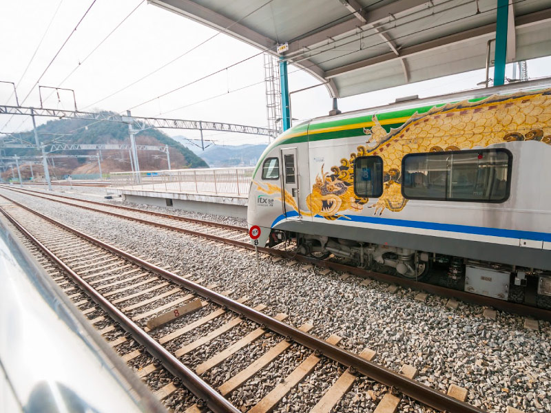 di-chuyen-den-dao-nami