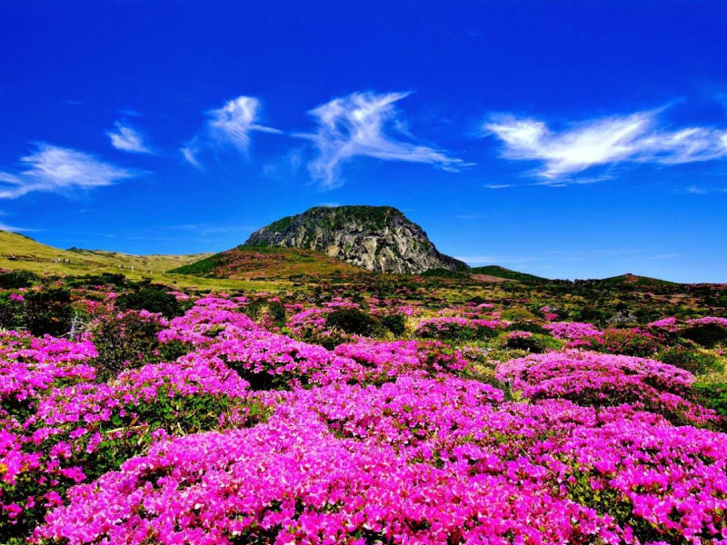 dinh-nui-Seongsan-Ilchulbong