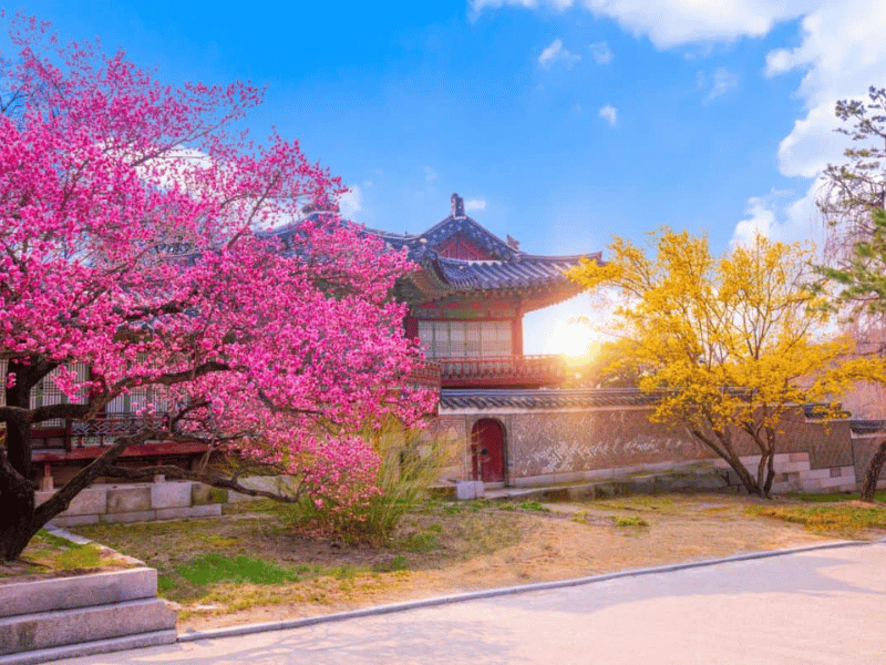 du-lich-han-quoc-mua-nao-dep-nhat-2-1