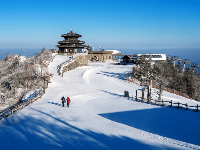 du-lich-han-quoc-mua-nao-dep-nhat-4