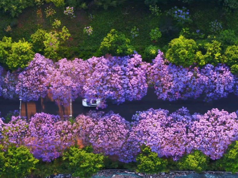 duong-Jiaochang-Middle-con-minh