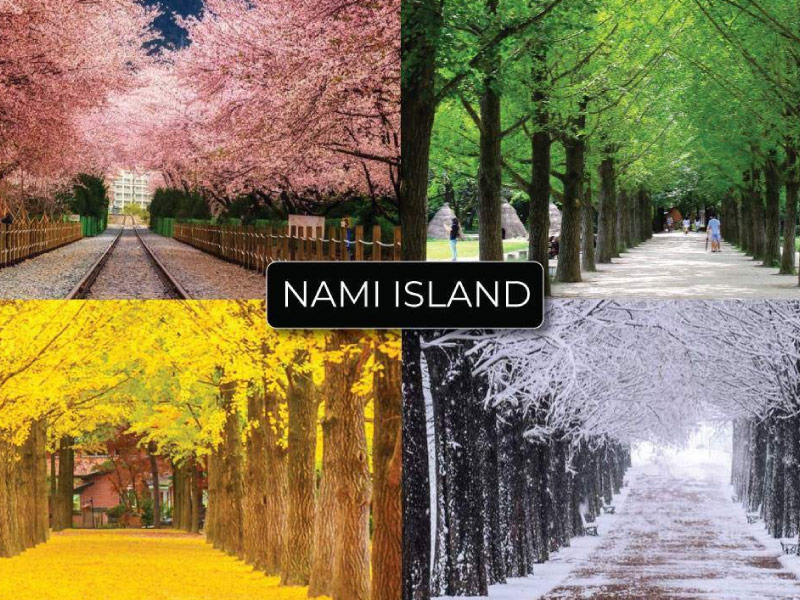 hang-cay-ngan-hanh-dao-nami