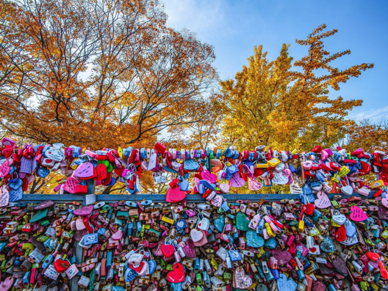 khoa-tinh-yeu-ly-do-du-lich-han-quoc