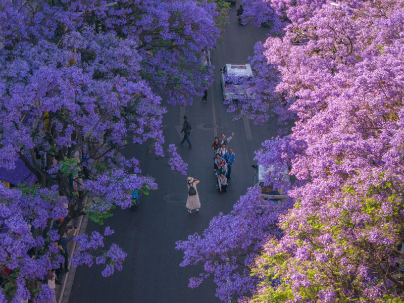 kinh-nghiem-du-lich-con-minh-mua-phuong-tim