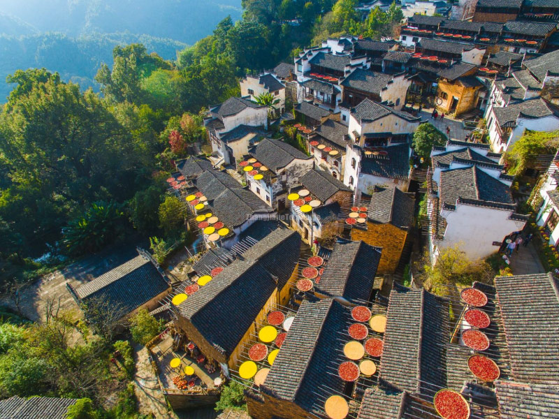 lang-phoi-thu-hoang-linh-co-thon lang-phoi-thu-hoang-linh-co-thon