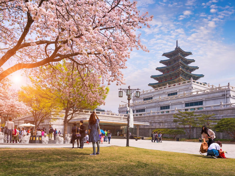 nen-du-lich-han-quoc-theo-tour-hay-tu-tuc
