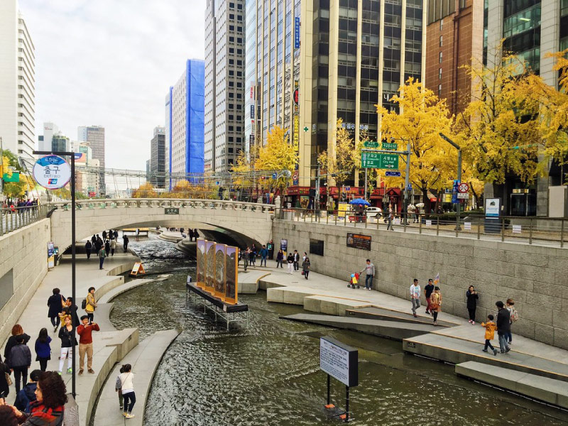 suoi-Cheonggyecheon-seoul-co-gi-choi