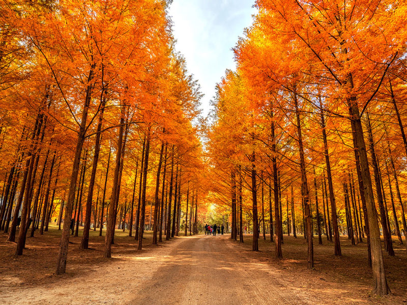 thoi-diem-ly-tuong-du-lich-dao-nami