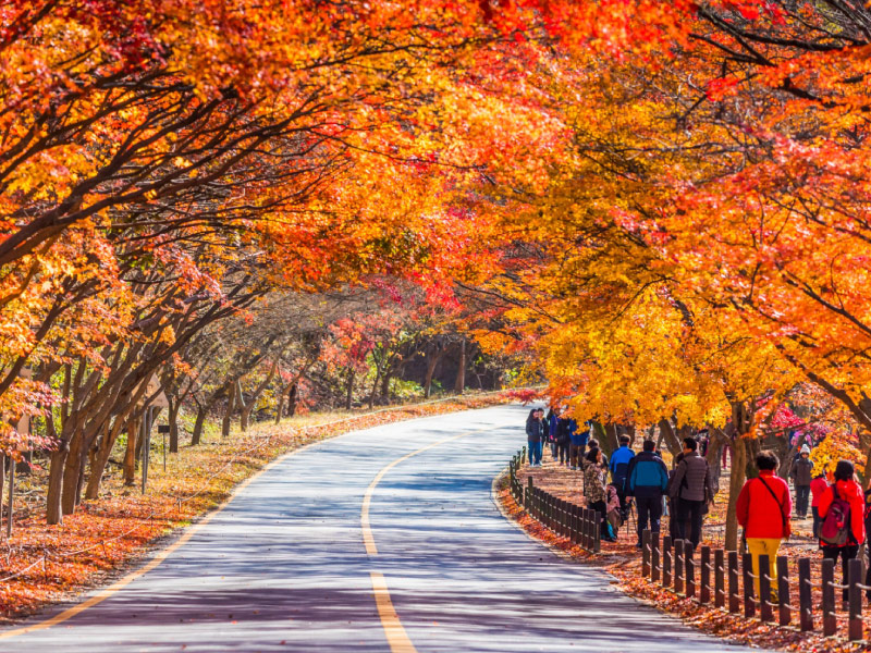 thoi-tiet-han-quoc-mua-thu