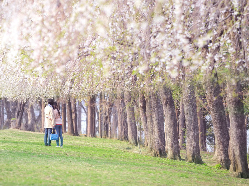 thue-xe-dap-doi-dao-nami