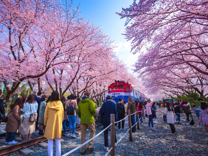 uu-diem-du-lich-han-quoc-tu-tuc