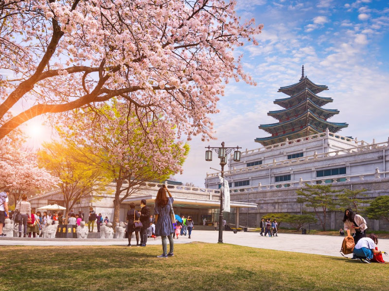 bi-kip-du-lich-han-quoc-tiet-kiem