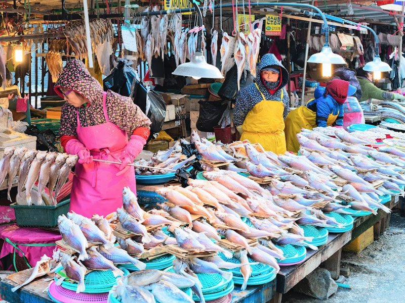 cho-ca-Jagalchi-busan-han-quoc