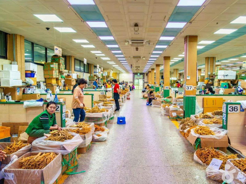 cho-sam-Geumsan-kinh-nghiem-nhan-sam-han-quoc