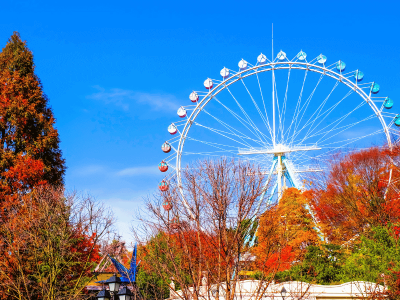 cong-vien-Everland-2