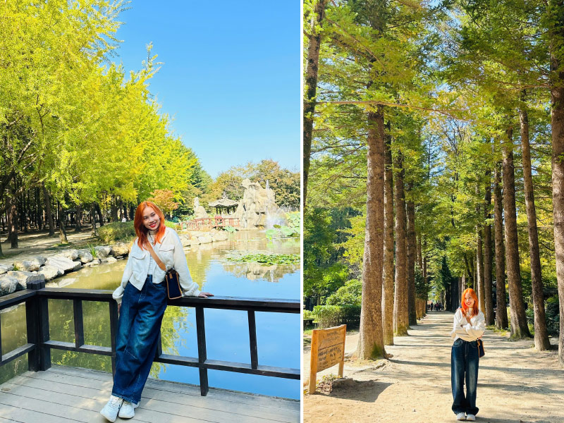 dao-nami-lich-trinh-han-quoc-5n4d