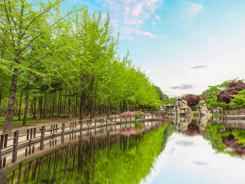 du-lich-han-quoc-thang-6