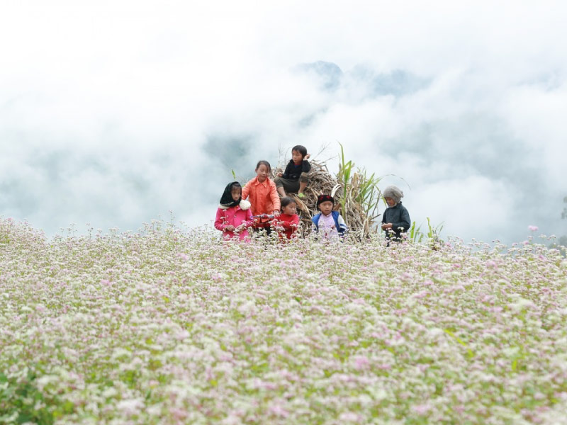 ha-giang-diem-du-lich-viet-nam-khi-hau-on-hoa-mua-he