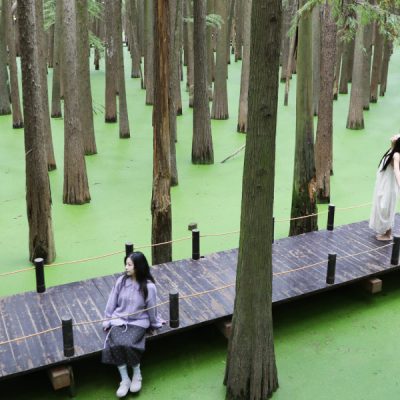 ho-thanh-son-tour-thuong-hai-5n4d-no-shop