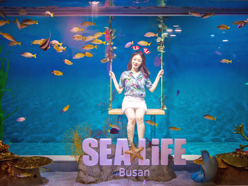 kham-pha-thuy-cung-Sea-Life-Busan
