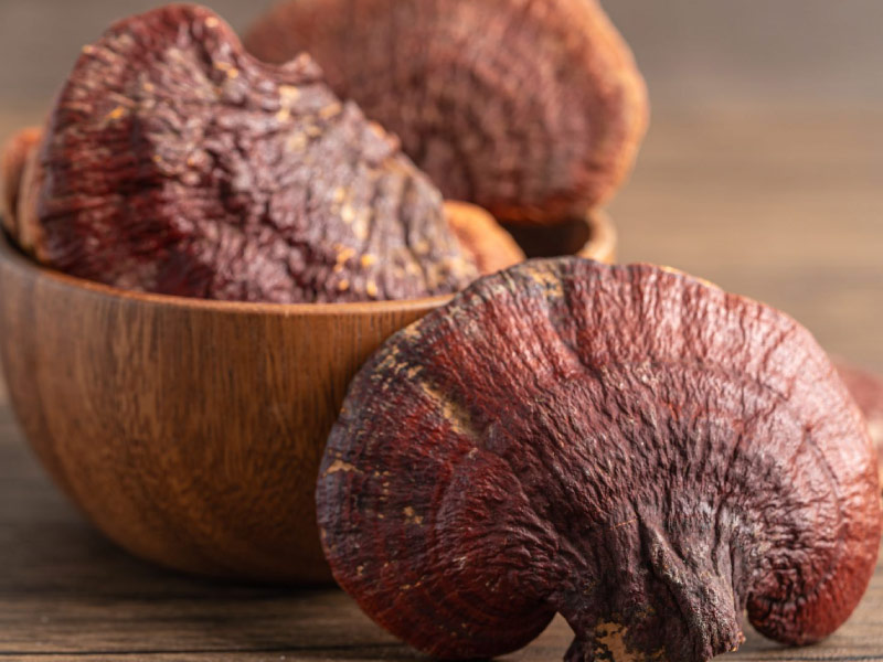 kinh-nghiem-mua-nam-linh-chi-chuan-han-quoc