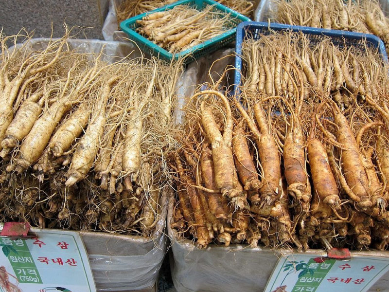 nhan-sam-tuoi-han-quoc