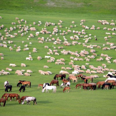 thao-nguyen-Xilamuren-tour-noi-mong-5n4d