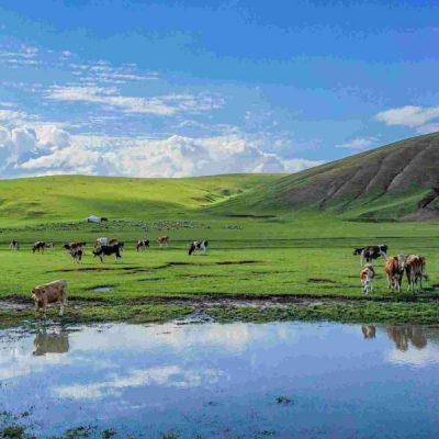 thao-nguyen-Xilamuren-tour-noi-mong-6n5d