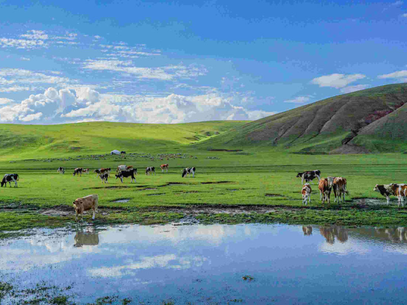 thao-nguyen-Xilamuren-tour-noi-mong-6n5d thao-nguyen-Xilamuren-tour-noi-mong-6n5d