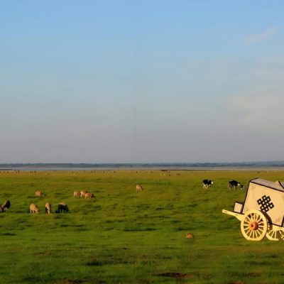 thao-nguyen-ordos-noi-mong-6n5d