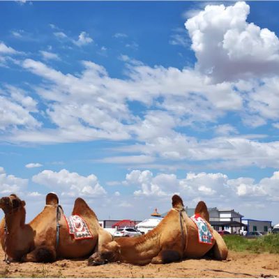 trai-nghiem-cuoi-lac-da-khu-thang-canh-Yinkentala