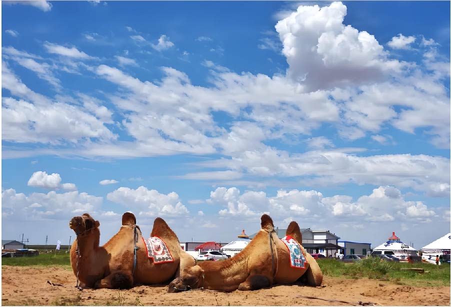 trai-nghiem-cuoi-lac-da-khu-thang-canh-Yinkentala trai-nghiem-cuoi-lac-da-khu-thang-canh-Yinkentala
