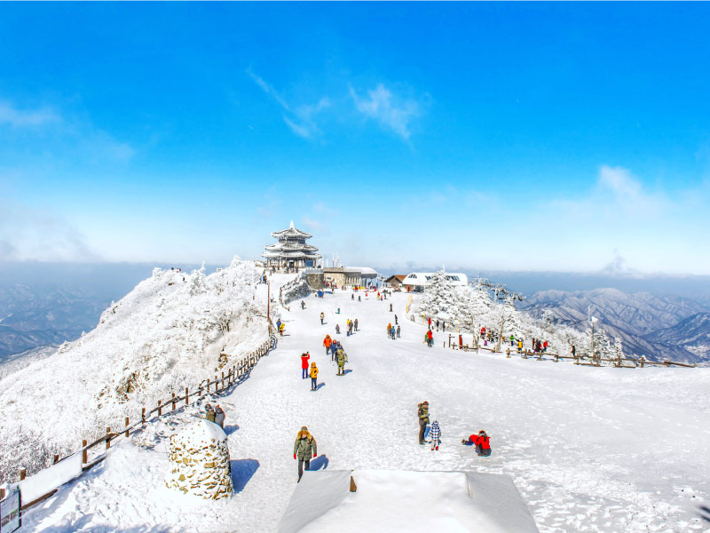 truot-tuyet-han-quoc-mua-dong