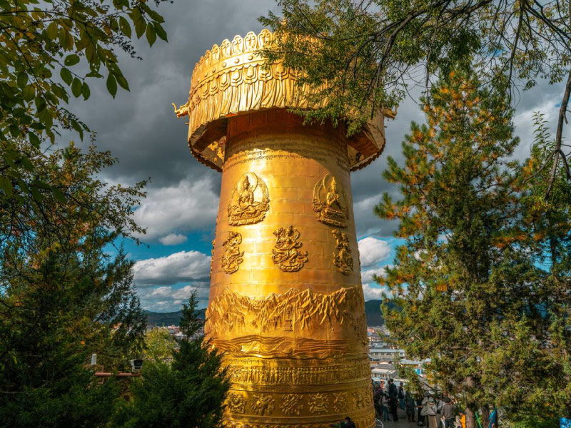 banh-xe-khong-lo-shangrila