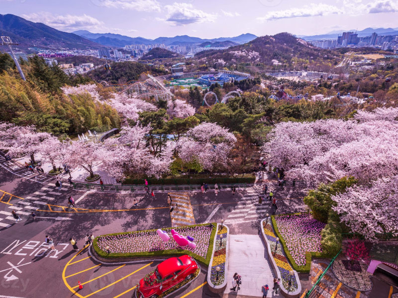 diem-tham-quan-daegu