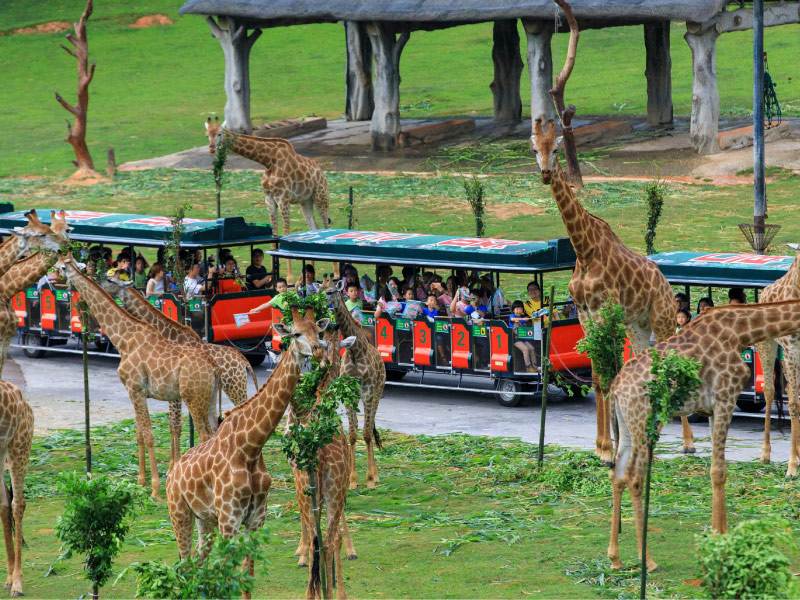 cong-vien-giai-tri-Chimelong-quang-chau