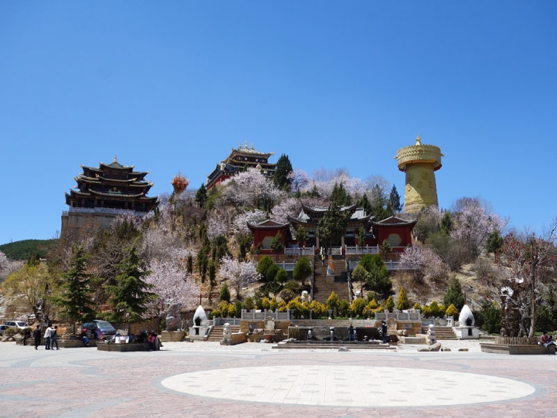 dai-kinh-luan-o-dau