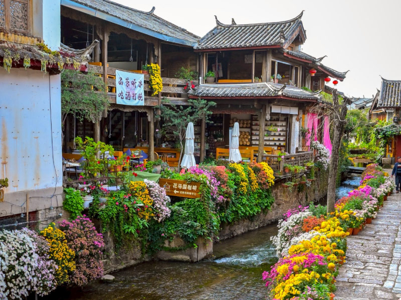 dai-nghien-co-tran-le-giang