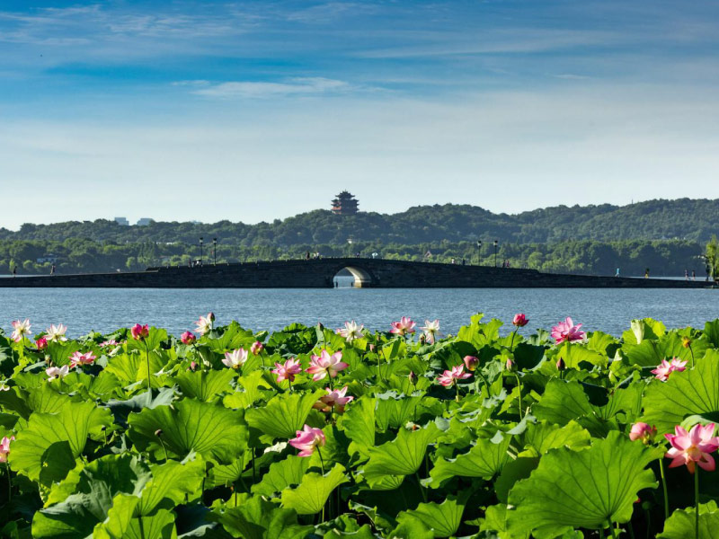dao-thuyen-tay-ho-diem-tham-quan-cho-gia-dinh-co-tre-nho